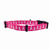 Cutie Ties Fun Design Dog Collar