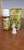 SAC Fragrance Oils   10 ml Bottle   Aromatherapy