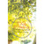 Sun Catcher I'Ll Hold You In My With Suction Cup 