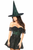 Lavish Lace Off The Shoulder Witch Corset Costume