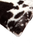 Set of Two 18" Brown And White Faux Fur Throw Pillows - 689805010072