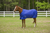 TuffRider 1600 D Super Comfy Standard Neck Blanket - 849913095525