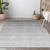 8' X 10' Gray And Light Gray Ombre Washable Indoor Outdoor Area Rug - 606114995562