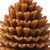 3" Brown Unscented Dimensional Pinecone Candle - 880024631332