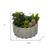 Artificial Succulents in a Gray Planter - 880016444179