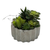 Artificial Succulents in a Gray Planter - 880016444179