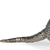 Resin Armadillo Figurine - 880016854633