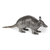 Resin Armadillo Figurine - 880016854633