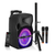 8 inch PA Portable Bluetooth Party Speaker Karaoke Boombox + 2 Wireless Mics - 810099499254