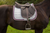 Henri de Rivel X-Wide Stirrup Leathers - Havana - 54 - 810013138207