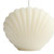 3" Ivory Coconut Hibiscus Scented Dimensional Seashell Candle - 880024525068