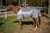 TuffRider Comfy Plus Standard Neck Fly Sheet - 849913077026