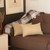 Homeroots Home Decor Set Of 2 Tan Modern Lumbar Throw Pillows