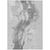 10' X 14' Gray And Silver Abstract Washable Indoor Outdoor Area Rug - 880016432060