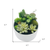 Artificial Succulent In A Round White Porcelain Planter - 880016699630