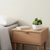 Artificial Succulent In A Round White Porcelain Planter - 880016699630