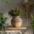 Antique-Style Rustic  Vase with Double Handles - 729634654952