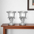 Set of Two Clear Glass Urn Table Vases - 880016783063