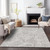 3' X 5' Taupe And Ivory Paisley Washable Area Rug With UV Protection - 880016661255