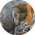 8' Orange And Charcoal Abstract Washable Round Rug With UV Protection - 880016505498