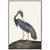 Great Heron Ii Canvas Silver Floater Frame Print Wall Art - 606114454038