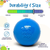Squeak Ball - Durable Squeaky Dog Toy, Floats, Chew Toy  - 810216027810