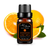 6 pc Essential Oils Set - 818705024340