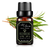 6 pc Essential Oils Set - 818705024340
