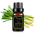 6 pc Essential Oils Set - 818705024340