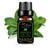 6 pc Essential Oils Set - 818705024340