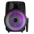 Emerson Portable Bluetooth Party Speaker with Disco Light and Stand - 840005019436