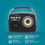 Supersonic Multi-Function Bluetooth Retro Speaker with Rechargeable Battery  - 639131812017