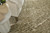 2' X 3' Green And Tan Abstract Area Rug - 880024512693