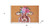 17" X 29" Brown And Pink Floral Cow Outdoor Coir Door Mat - 880024861647