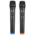 Supersonic VHF Dual Fixed Channel Professional Wireless Microphone - 639131209077