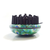 Heated Brush Set - 818705023091