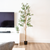 Set of Two Trees in a Black Pots - 880016721492