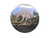 Dino Walking