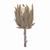Protea Stem (Set of 6) 20"H Plastic