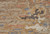 10' X 14' Tan And Blue Wool Abstract Tufted Handmade Stain Resistant Area Rug
