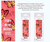 Bookmark Pray More Worry 2x6 12-Pack