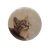 Cat Looking Up