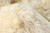 3' x 5' Golden Natural Sheepskin Area Rug - 4512822863412