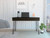 Roxy Black Computer Desk with Two Drawers