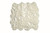 Homeroots Decor Off White Animal Print Area Rug, Off White, Animal Print Shape