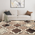 5' X 8' Ivory Brown And Black Quatrefoil Distressed Area Rug