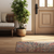 3' X 5' Cream Abstract Area Rug