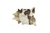 5' X 7' Ivory Brown and Gold Cowhide Hand Knotted Area Rug