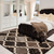 3' X 5' Brown Black And Ivory Quatrefoil Distressed Area Rug