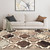 6' X 9' Ivory Brown And Black Quatrefoil Distressed Area Rug